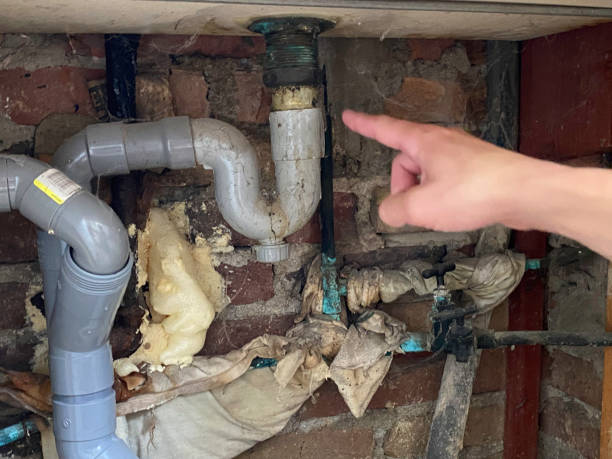 Best Ceiling water damage repair  in Solon, IA