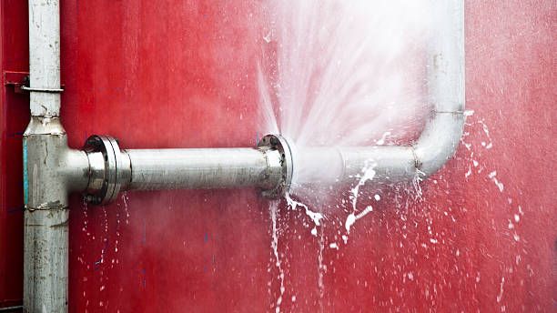 Best Water damage contractors near me  in Solon, IA